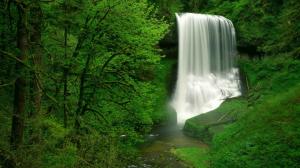 Waterfall Trees Forest Tropical Jungle Timelapse HD wallpaper thumb