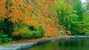 Stone Path Besides A Lake In Autumn wallpaper thumb