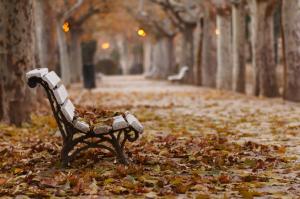 Fall, Park, Bench, Leaves wallpaper thumb
