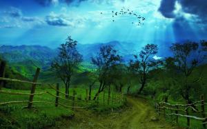 Mountain Road Trees Rays Sky Birds Landscapes Wide wallpaper thumb