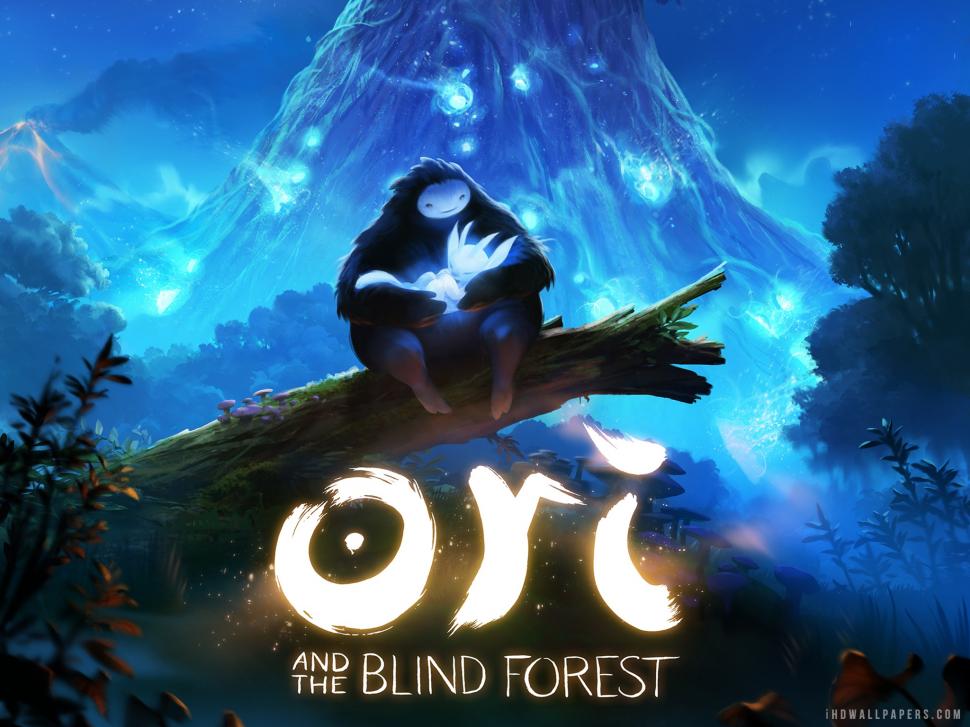 Ori and the Blind Forest 2014 wallpaper,2014 HD wallpaper,forest HD wallpaper,blind HD wallpaper,2048x1536 wallpaper