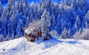 Winter, thick snow, trees, house, footpath wallpaper thumb