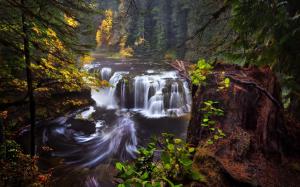 USA, California, Washington, Lewis river, waterfalls, autumn, forest wallpaper thumb