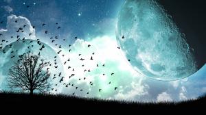 Birds Planets Moon Silhouette Tree Stars HD wallpaper thumb