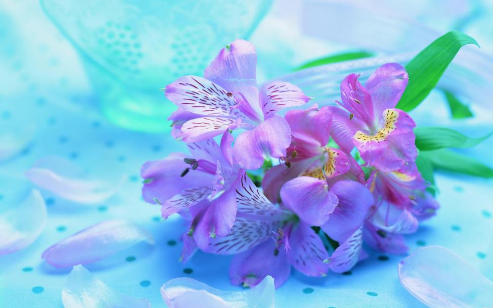 Beautiful Fresh Flowers wallpaper,violet HD wallpaper,nature HD wallpaper,flower HD wallpaper,blue HD wallpaper,3d & abstract HD wallpaper,2560x1600 wallpaper
