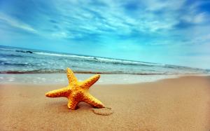 Beach Sky Starfish wallpaper thumb