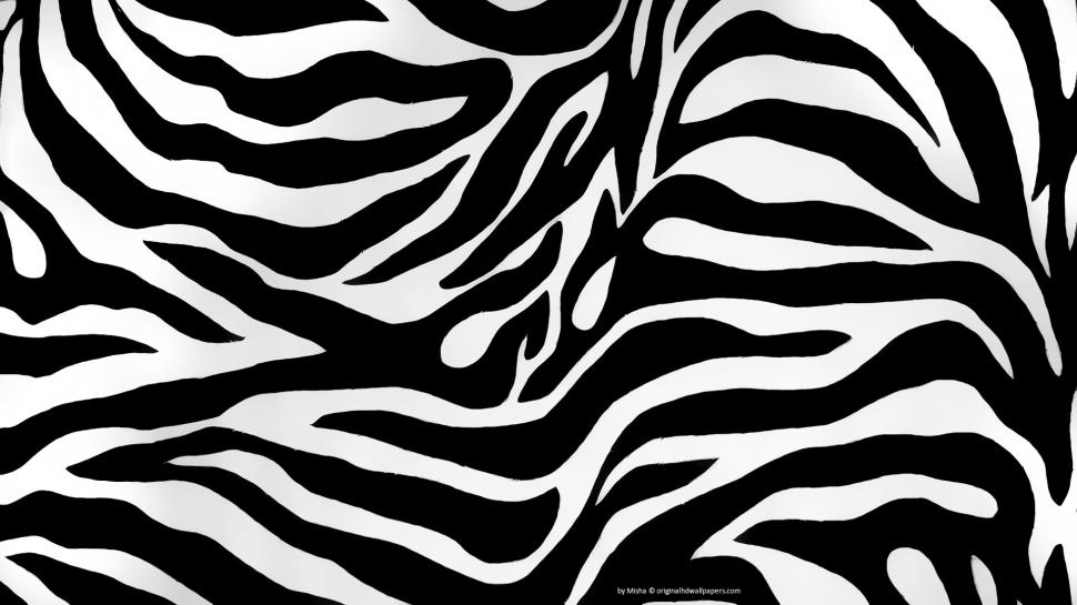 Zebra, Animal, Horse, Black And White wallpaper,zebra HD wallpaper,animal HD wallpaper,horse HD wallpaper,black and white HD wallpaper,1920x1080 wallpaper