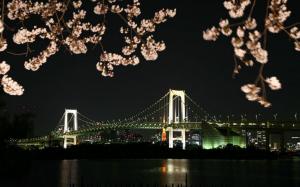Bridge Framed By Cherry Blossom wallpaper thumb
