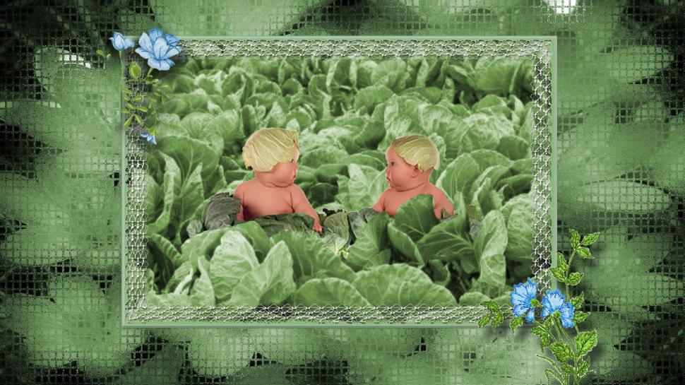 In The Cabbage Patch wallpaper,cabbage HD wallpaper,babies HD wallpaper,blue HD wallpaper,green HD wallpaper,flowers HD wallpaper,3d & abstract HD wallpaper,1920x1080 wallpaper