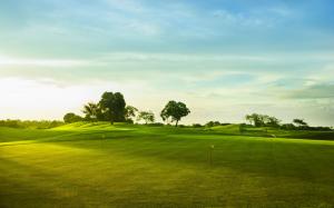 Golf course, green grass, trees wallpaper thumb