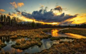 Wetlands, trees, clouds, sunset, grass, water stream, beautiful scenery wallpaper thumb