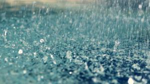 Rain Water Drops 1080p wallpaper thumb
