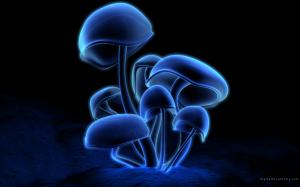 Neon Mushrooms wallpaper thumb