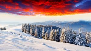 Cold winter, thick snow, sunrise glow, forest, mountains wallpaper thumb