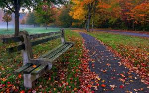 Park, trees, leaves, grass, road, bench, colors, autumn wallpaper thumb