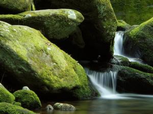 Waterfall Rocks Stones Timelapse Moss HD wallpaper thumb