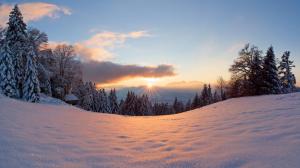 Winter, snow, sun, light, forest, trees, sunset wallpaper thumb