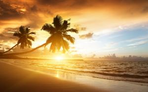 Caribbean coast beautiful scenery, sunrise, palm trees, sea, clouds, sky wallpaper thumb