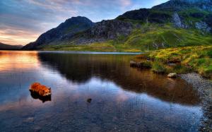 Snowdonia, lake, mountains, grass, sunset, dog wallpaper thumb