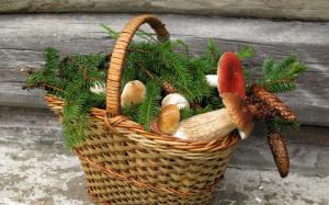 Mushroom, Basket wallpaper thumb