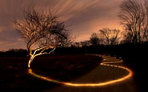Tree Light Painting Night Path Trail HD wallpaper thumb