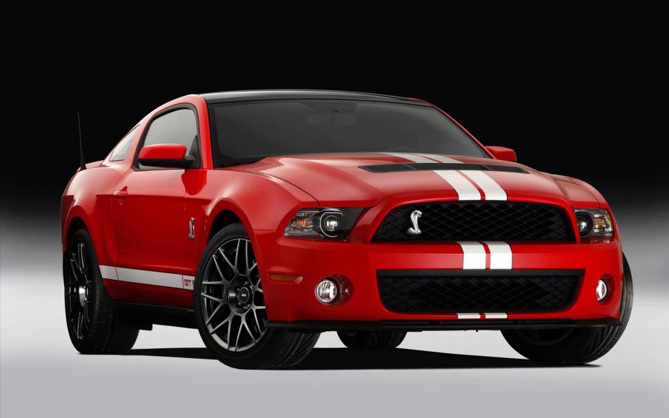 2011 Ford Shelby GT500 4 wallpaper,ford HD wallpaper,shelby HD wallpaper,gt500 HD wallpaper,2011 HD wallpaper,1920x1200 wallpaper