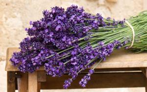 Bouquet of purple lavender flowers wallpaper thumb