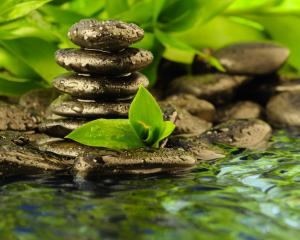 Wet Stones Zen Rocks Leaves Water Drops Water HD wallpaper thumb