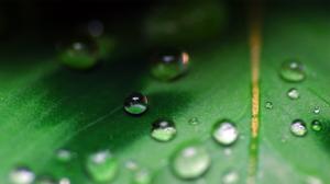 Macro Leaf Water Drop HD wallpaper thumb