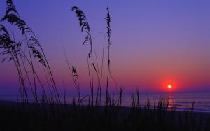 Beautiful Myrtle Beach Sunrise wallpaper thumb