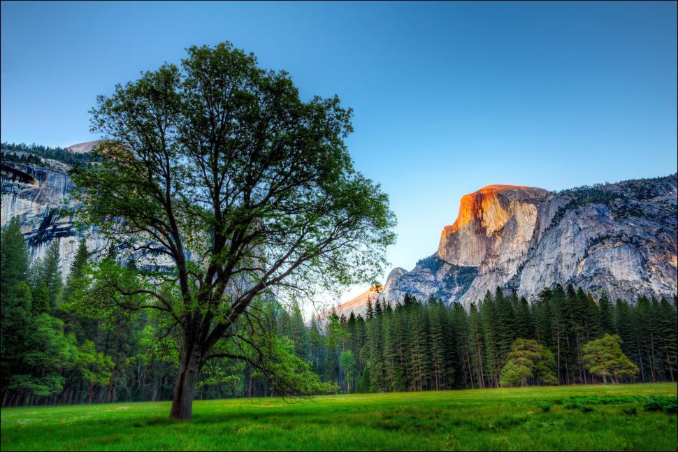 USA, Yosemite wallpaper,park HD wallpaper,USA HD wallpaper,Yosemite HD wallpaper,tree HD wallpaper,trees HD wallpaper,mountains HD wallpaper,rocks HD wallpaper,grass HD wallpaper,2584x1724 wallpaper