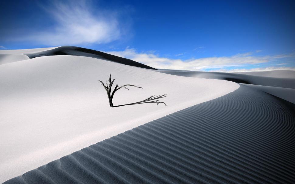 The Dune wallpaper,dune HD wallpaper,nature & landscape HD wallpaper,2560x1600 wallpaper