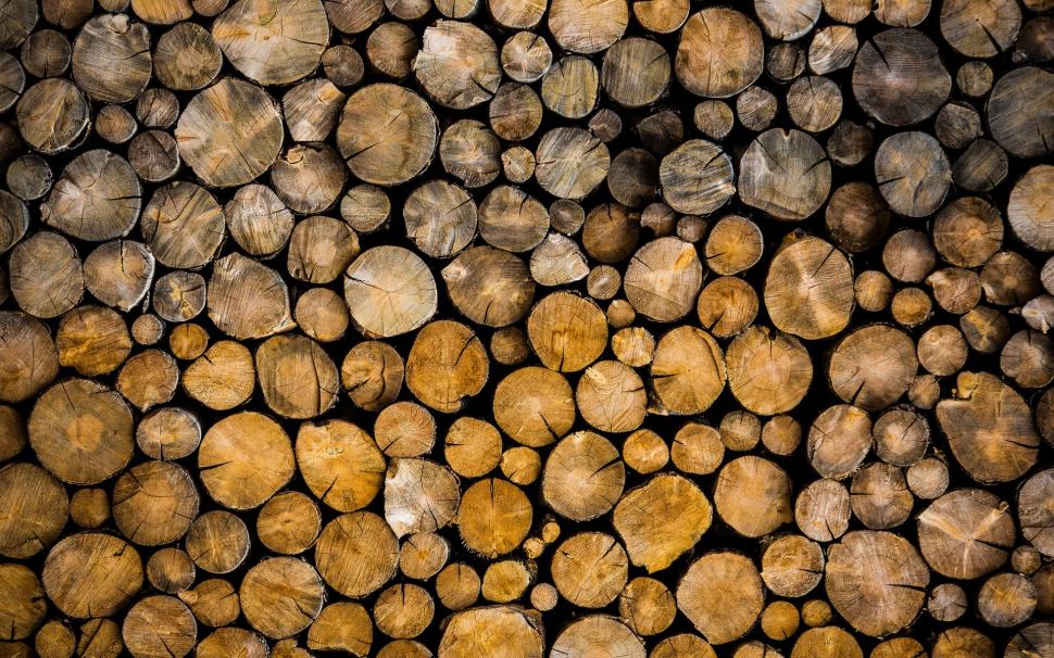 Logs, wood, bark, trees wallpaper,Logs HD wallpaper,Wood HD wallpaper,Bark HD wallpaper,Trees HD wallpaper,1920x1200 wallpaper