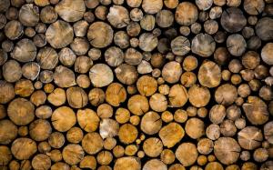 Logs, wood, bark, trees wallpaper thumb