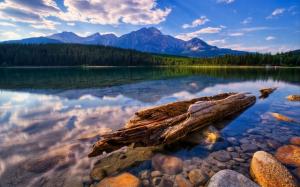 Clear lake, mountains, forest, driftwood, stones, clouds wallpaper thumb