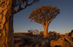 Namibia, Africa, landscape wallpaper thumb