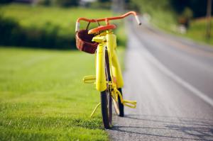 biking, summer, grass, light, road wallpaper thumb