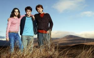Emma Watson Daniel Radcliffe & Rupert Grint wallpaper thumb