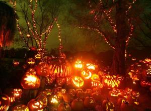 halloween, holiday, pumpkin, night, fire, trees wallpaper thumb
