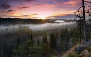 Sunrise Landscapes Nature Trees Dawn Forests Hills Fog Mist Finland Hdr Photography Image Download wallpaper thumb