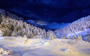 Winter night, mountains, stars, snow, forest, trees wallpaper thumb