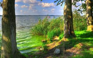 Beautiful green lake wallpaper thumb