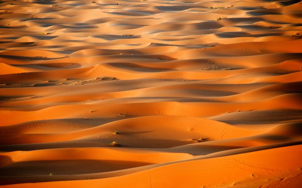 Africa, Morocco, desert, Sahara dunes wallpaper,Africa HD wallpaper,Morocco HD wallpaper,Desert HD wallpaper,Sahara HD wallpaper,Dunes HD wallpaper,1920x1200 wallpaper