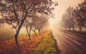 Road, trees, nature scenery, autumn, fog wallpaper thumb
