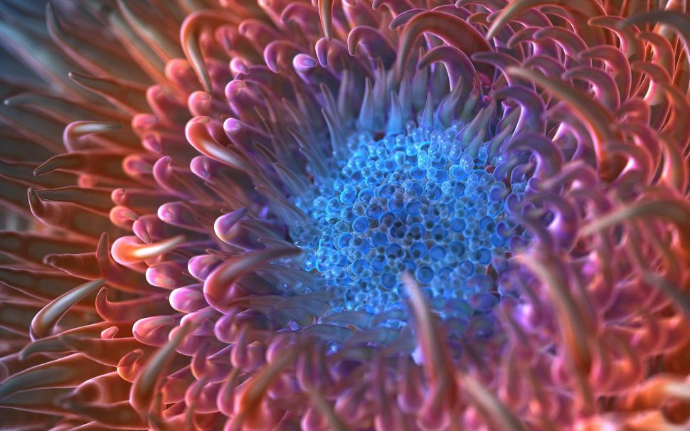 Digital Anemone Flower wallpaper,flower HD wallpaper,digital HD wallpaper,anemone HD wallpaper,2560x1600 wallpaper