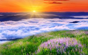 Sun, clouds and flowers wallpaper thumb