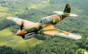 Curtiss P-40 Warhawk (taiwan Markings) wallpaper thumb