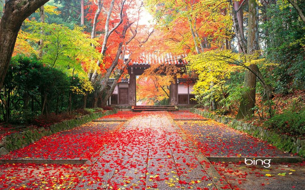Autumn in Japan wallpaper,autumn HD wallpaper,japan HD wallpaper,nature & landscape HD wallpaper,1920x1200 wallpaper