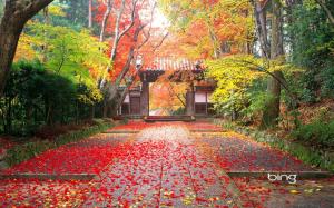 Autumn in Japan wallpaper thumb