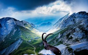 Goat Horns Valley Mountains Landscape HD wallpaper thumb
